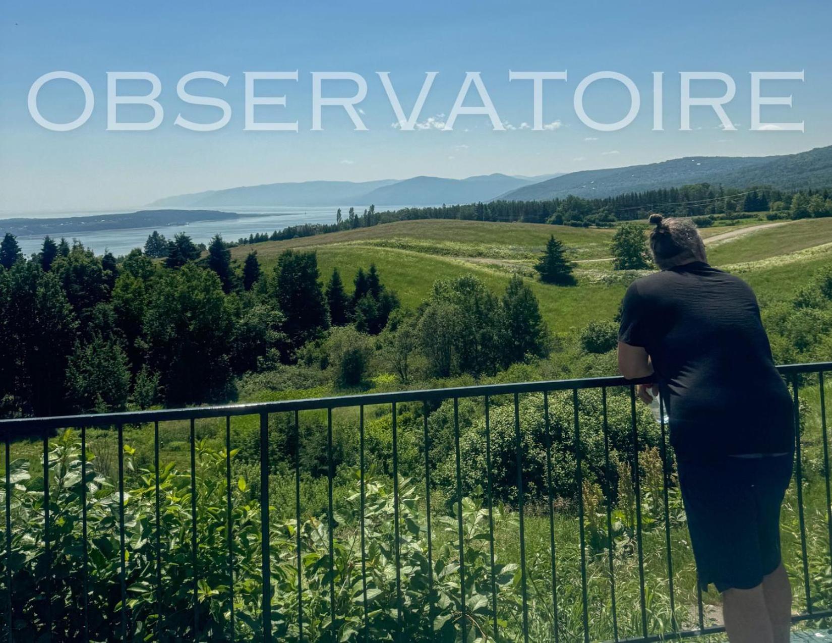 Auberge de nos Aieux Les Éboulements Exterior foto
